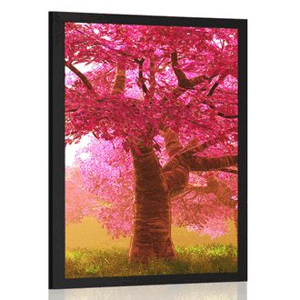 POSTER BLOSSOMING CHERRY TREES - NATURE - POSTERS