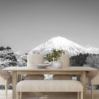 WALL MURAL MOUNT FUJI IN BLACK AND WHITE - WALLPAPERS NATURE - WALLPAPERS