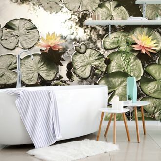 WALL MURAL LOTUS FLOWER IN THE GARDEN - WALLPAPERS NATURE - WALLPAPERS