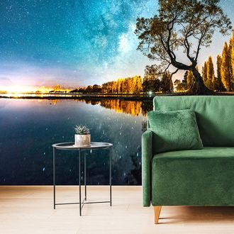 WALL MURAL TREE UNDER THE STARRY SKY - WALLPAPERS NATURE - WALLPAPERS