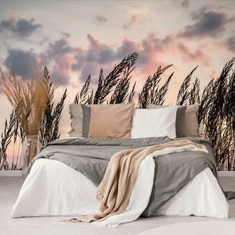WALL MURAL GRASS AT SUNSET - WALLPAPERS NATURE - WALLPAPERS