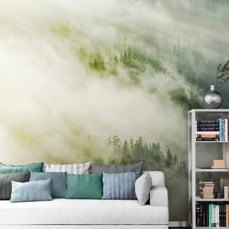 WALL MURAL MISTY FOREST - WALLPAPERS NATURE - WALLPAPERS