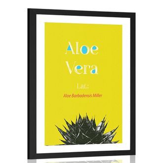 POSTER WITH MOUNT MIRACULOUS ALOE VERA - MOTIFS FROM OUR WORKSHOP - POSTERS
