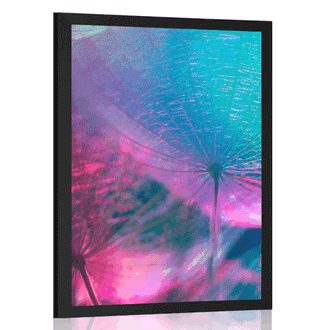 POSTER DANDELION IN PASTEL COLORS - FLOWERS - POSTERS