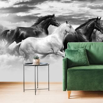 SELF ADHESIVE WALLPAPER BLACK AND WHITE HERD OF HORSES - SELF-ADHESIVE WALLPAPERS - WALLPAPERS