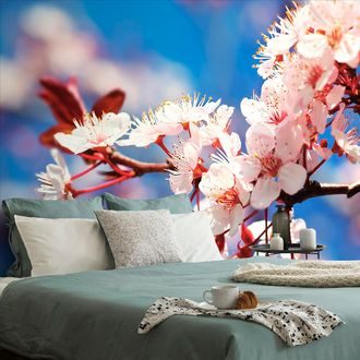 WALL MURAL CHERRY BLOSSOM - WALLPAPERS FLOWERS - WALLPAPERS