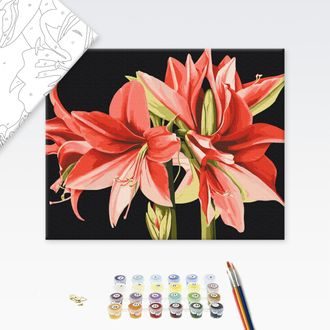 MALOVÁNÍ PODLE ČÍSEL KVĚTINY AMARYLLIS - KVĚTY - MALOVÁNÍ PODLE ČÍSEL