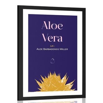 PLAKAT S PASPARTUJEM IN NAPISOM ALOE VERA - MOTIVI IZ NAŠE DELAVNICE - PLAKATI