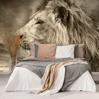 WALLPAPER AFRICAN LION IN SEPIA - BLACK AND WHITE WALLPAPERS - WALLPAPERS