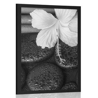 POSTER WELLNESS STILL LIFE IN BLACK AND WHITE - BLACK AND WHITE - POSTERS