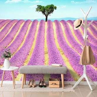WALL MURAL PROVENÇAL LAVENDER FIELD - WALLPAPERS NATURE - WALLPAPERS