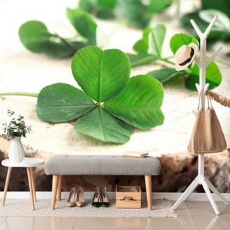WALL MURAL GREEN FOUR-LEAF CLOVERS - WALLPAPERS NATURE - WALLPAPERS