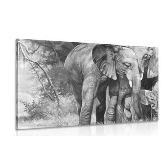 CANVAS PRINT ELEPHANT FAMILY IN BLACK AND WHITE - BLACK AND WHITE PICTURES - PICTURES