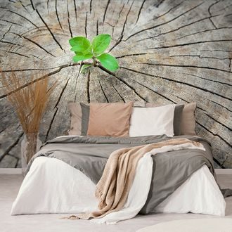 SELF ADHESIVE WALL MURAL BIRTH OF A NEW LIFE - SELF-ADHESIVE WALLPAPERS - WALLPAPERS