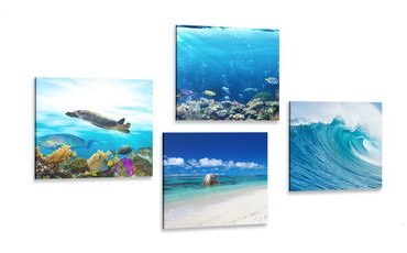 CANVAS PRINT SET SEA WORLD - SET OF PICTURES - PICTURES