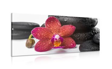 CANVAS PRINT ORCHID AND ZEN STONES ON A WHITE BACKGROUND - PICTURES FENG SHUI - PICTURES