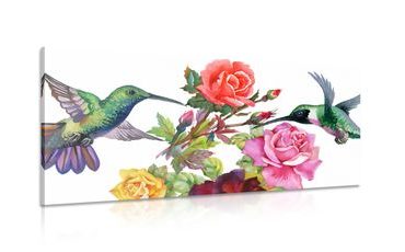 CANVAS PRINT HUMMINGBIRDS WITH FLOWERS - VINTAGE AND RETRO PICTURES - PICTURES