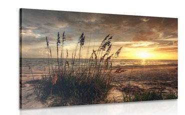 CANVAS PRINT SUNSET ON A BEACH - PICTURES OF NATURE AND LANDSCAPE - PICTURES