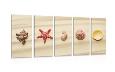 5-PIECE CANVAS PRINT SEASHELLS ON A SANDY BEACH - PICTURES OF NATURE AND LANDSCAPE - PICTURES