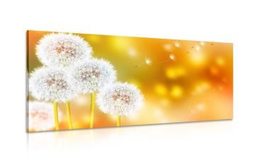 CANVAS PRINT FLUFFY DANDELION - PICTURES FLOWERS - PICTURES