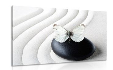CANVAS PRINT WHITE BUTTERFLY ON A BLACK STONE - PICTURES FENG SHUI - PICTURES