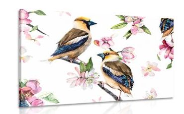 CANVAS PRINT BIRDS ON A TREE BRANCH - VINTAGE AND RETRO PICTURES - PICTURES