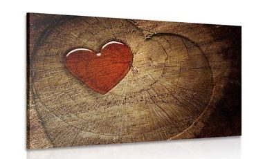 CANVAS PRINT HEART ON A STUMP - PICTURES OF NATURE AND LANDSCAPE - PICTURES