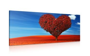 CANVAS PRINT BEAUTIFUL HEART-SHAPED TREE - PICTURES LOVE - PICTURES