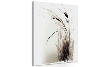 CANVAS PRINT MINIMALISTIC DRY GRASS - PICTURES OF GRASS - PICTURES