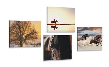 CANVAS PRINT SET FOR HORSE LOVERS - SET OF PICTURES - PICTURES