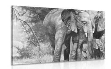 CANVAS PRINT ELEPHANT FAMILY IN BLACK AND WHITE - BLACK AND WHITE PICTURES - PICTURES