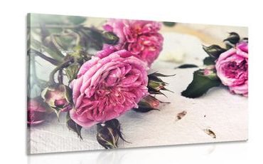 CANVAS PRINT OF ROSES IN BLOOM - VINTAGE AND RETRO PICTURES - PICTURES