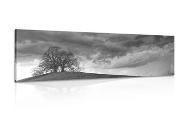 CANVAS PRINT BLACK AND WHITE LONELY TREES - BLACK AND WHITE PICTURES - PICTURES