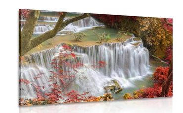 CANVAS PRINT FOREST WATERFALL - PICTURES OF NATURE AND LANDSCAPE - PICTURES