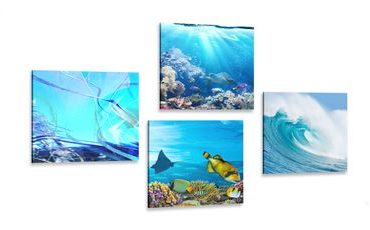 CANVAS PRINT SET LIFE UNDER THE SURFACE - SET OF PICTURES - PICTURES