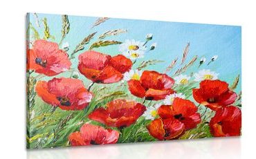 CANVAS PRINT PAINTED FIELD POPPIES - PICTURES FLOWERS - PICTURES