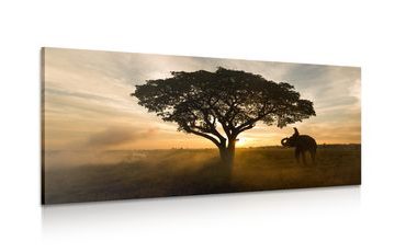 CANVAS PRINT ELEPHANT AT SUNRISE - PICTURES OF ANIMALS - PICTURES