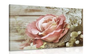 CANVAS PRINT PINK VINTAGE ROSE - VINTAGE AND RETRO PICTURES - PICTURES