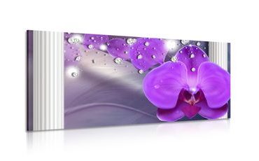 CANVAS PRINT ORCHID NEAR GREEK COLUMNS - PICTURES FLOWERS - PICTURES