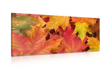 CANVAS PRINT AUTUMN LEAVES - PICTURES OF NATURE AND LANDSCAPE - PICTURES