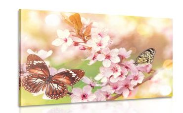 CANVAS PRINT SPRING FLOWERS WITH EXOTIC BUTTERFLIES - PICTURES OF ANIMALS - PICTURES