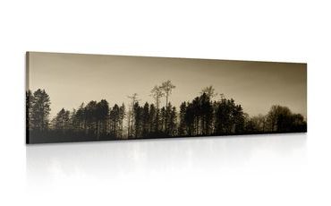 CANVAS PRINT SEPIA FOREST - BLACK AND WHITE PICTURES - PICTURES