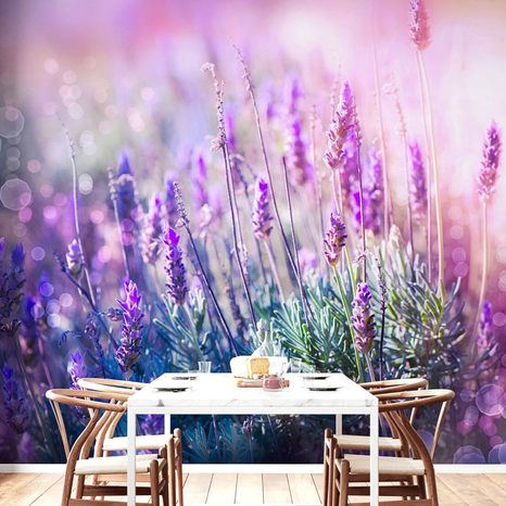 WALL MURAL MAGICAL LAVENDER FLOWERS - WALLPAPERS FLOWERS - WALLPAPERS