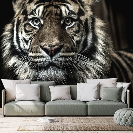 WALL MURAL TIGER - WALLPAPERS ANIMALS - WALLPAPERS