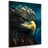 CANVAS PRINT BLUE-GOLD EAGLE - PICTURES LORDS OF THE ANIMAL KINGDOM - PICTURES