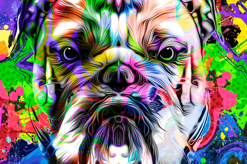 KÉP POP ART FRANCIA BULLDOG - POP ART KÉPEK - KÉPEK