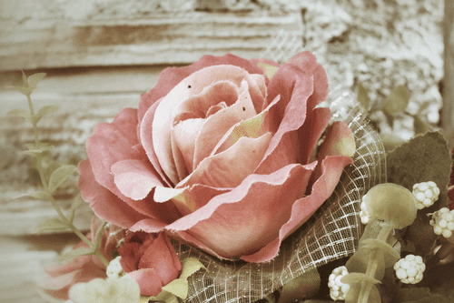 CANVAS PRINT PINK VINTAGE ROSE - VINTAGE AND RETRO PICTURES - PICTURES