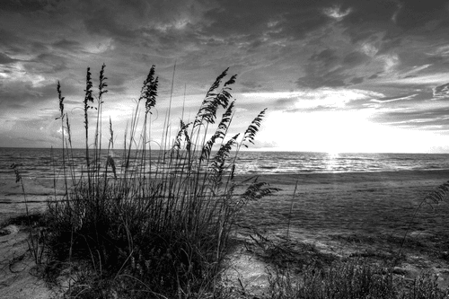 CANVAS PRINT SUNSET ON A BEACH IN BLACK AND WHITE - BLACK AND WHITE PICTURES - PICTURES