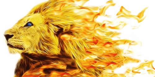 CANVAS PRINT FIERY LION - PICTURES OF ANIMALS - PICTURES