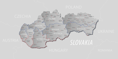 OBRAZ ŠEDÁ MAPA SLOVENSKA S DECENTNÍM KONTRASTEM - OBRAZY MAPY - OBRAZY